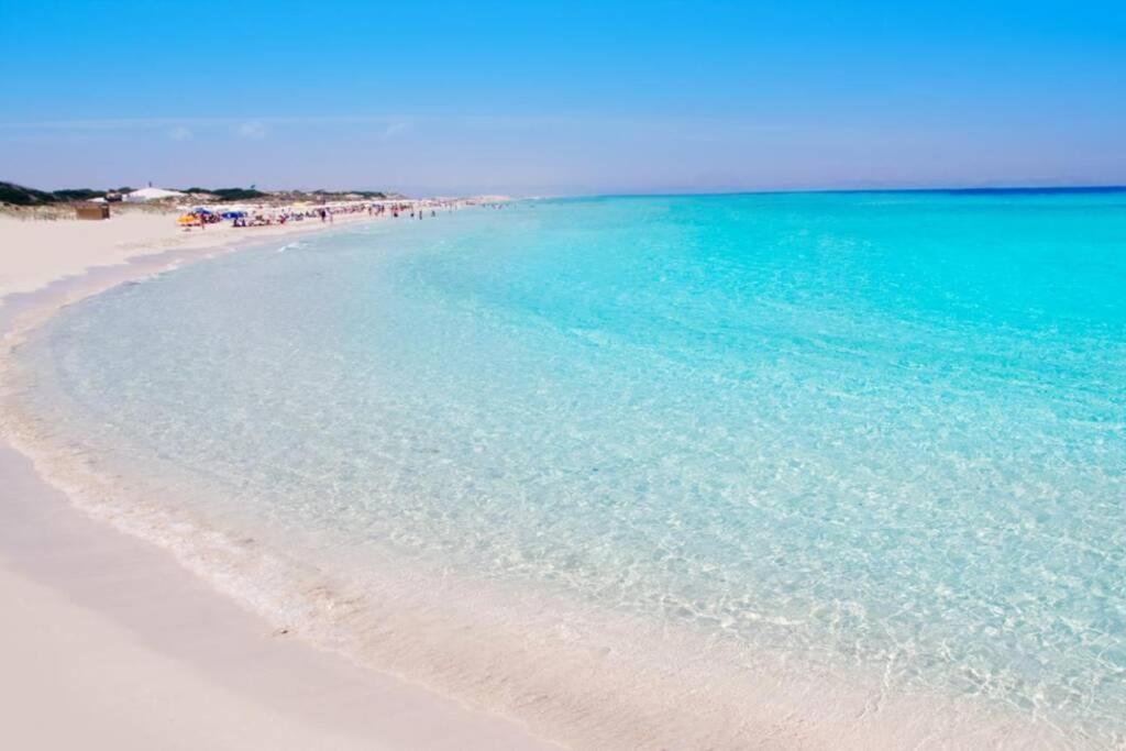 Viddalba Mare Monte Villetta المظهر الخارجي الصورة